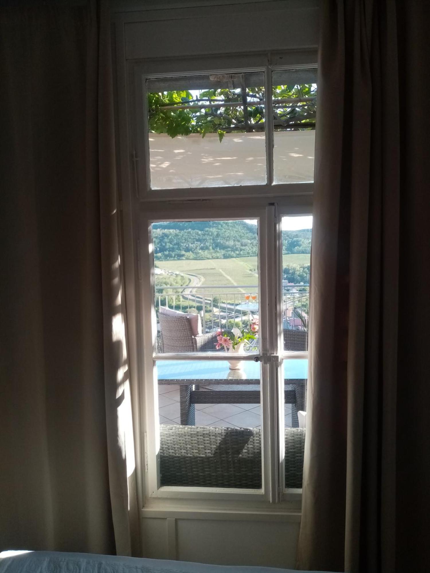 Studio Apartman Bel Vedere Motovun Dış mekan fotoğraf