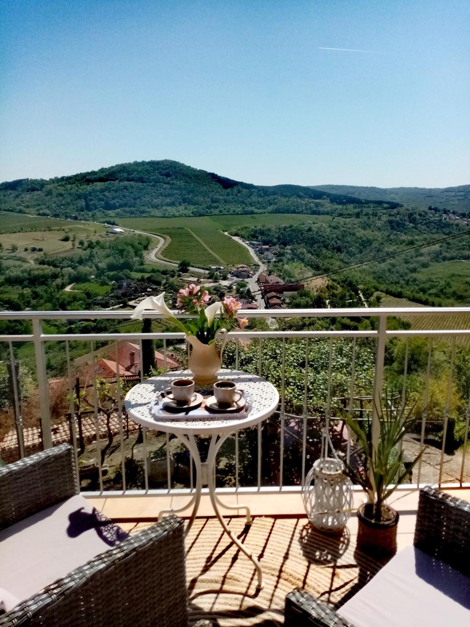 Studio Apartman Bel Vedere Motovun Dış mekan fotoğraf