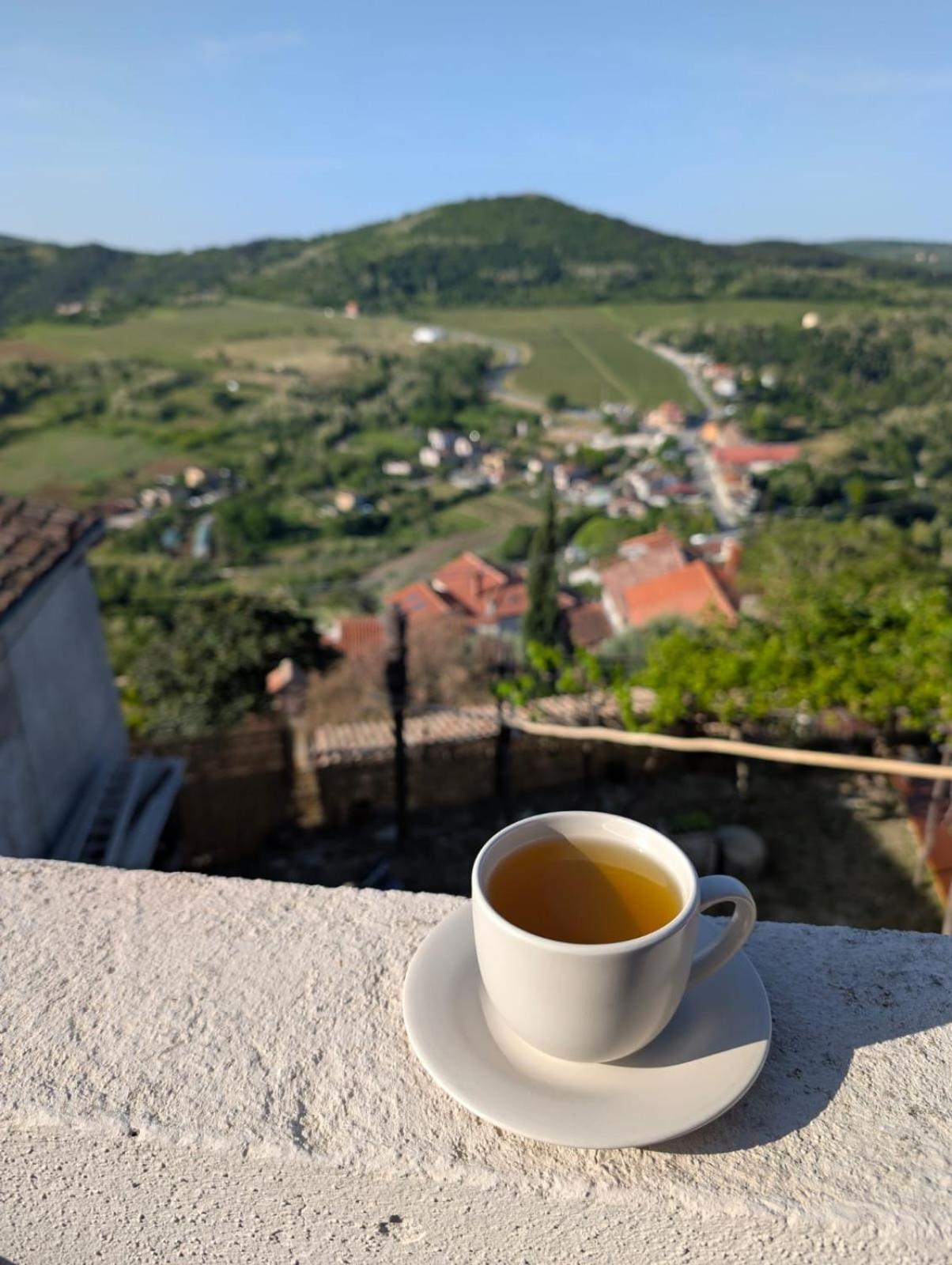 Studio Apartman Bel Vedere Motovun Dış mekan fotoğraf